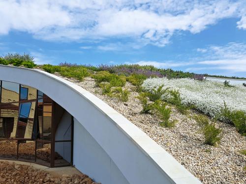 Pitched green roof flowering white and purple